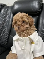 processed/b6737721-0237-4665-9a9e-0f4d0172ed9d/facility/d77d8ba8-fb8a-4e16-b18c-8e9cb850cc63