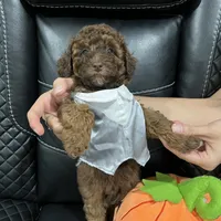 processed/b6737721-0237-4665-9a9e-0f4d0172ed9d/facility/f81987c0-a977-41d1-9074-546b36bf129d