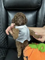 processed/b6737721-0237-4665-9a9e-0f4d0172ed9d/facility/f81987c0-a977-41d1-9074-546b36bf129d