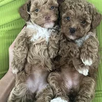 processed/b6737721-0237-4665-9a9e-0f4d0172ed9d/facility/ff1b80ec-a84f-4c6b-99ae-af0be896680f