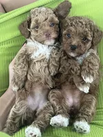 processed/b6737721-0237-4665-9a9e-0f4d0172ed9d/facility/ff1b80ec-a84f-4c6b-99ae-af0be896680f