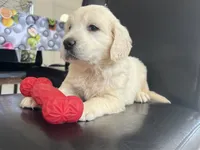 processed/b6737721-0237-4665-9a9e-0f4d0172ed9d/listing/563fa110-7622-42cb-b58e-111d9117c0b9/3f756c42-458b-4dd4-ad83-72027cd74bd9