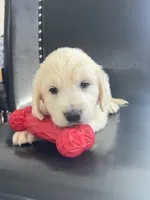 processed/b6737721-0237-4665-9a9e-0f4d0172ed9d/listing/563fa110-7622-42cb-b58e-111d9117c0b9/cb6a0a07-865b-4405-92a0-d12d5ac71419