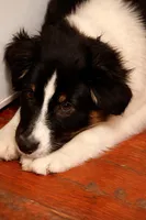 processed/b674a779-f029-41bd-b34b-b2c36e054a09/listing/70bb9849-128e-4ca2-9556-5ed2d6e16d6f/720203a3-af30-42ad-b5b4-503760eacaaa