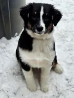 processed/b674a779-f029-41bd-b34b-b2c36e054a09/listing/70bb9849-128e-4ca2-9556-5ed2d6e16d6f/9df76926-d13f-4286-9886-da7bc26cb04a