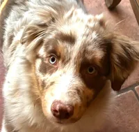 processed/b674a779-f029-41bd-b34b-b2c36e054a09/listing/9f8e7c33-7331-4a3d-a15c-832f8b23c3df/0cb02291-959f-477d-87fa-84eb40471ed5