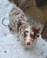 processed/b674a779-f029-41bd-b34b-b2c36e054a09/listing/9f8e7c33-7331-4a3d-a15c-832f8b23c3df/4ee3de35-f068-44e2-a50a-488127b7691d