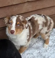 processed/b674a779-f029-41bd-b34b-b2c36e054a09/listing/f2bc34f0-98ca-43ba-aad1-88ab5eec80bd/b9adaf27-a4bb-4424-a39f-446ba29837a8