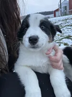 processed/b676ab5f-32da-491e-810d-892702821a25/listing/b6db4da9-de2c-4e6e-932b-16a3b92d5662/6d9d6776-5bf5-481a-87ca-df89bf009763