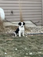 processed/b676ab5f-32da-491e-810d-892702821a25/listing/b6db4da9-de2c-4e6e-932b-16a3b92d5662/72476ff9-9a0e-4d6e-8c1a-4a0a9ea2f23b