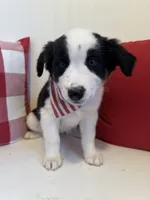 processed/b676ab5f-32da-491e-810d-892702821a25/listing/b6db4da9-de2c-4e6e-932b-16a3b92d5662/ae1d17b3-e77c-426a-b142-5b5dfb704b16