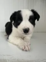 processed/b676ab5f-32da-491e-810d-892702821a25/listing/b6db4da9-de2c-4e6e-932b-16a3b92d5662/fd0f113d-b2e2-43f5-8395-0c288c9eb68f