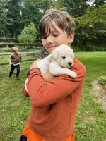 Mariel , a female Golden Pyrenees for sale in Morgantown, PA – 5 of 6