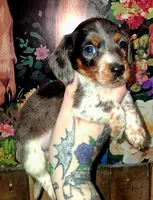 processed/b67ecb6c-ea72-4088-a39b-af99efdead50/facility/2bad9859-f472-4f93-a8bd-befdb6776d29