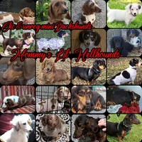 processed/b67ecb6c-ea72-4088-a39b-af99efdead50/facility/6c1887cf-fa5c-4ec1-98e5-ea0e61a36ec5