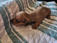 processed/b682cfad-f86d-4b1a-b31a-090344a14f03/listing/8978e1bc-18c2-45d8-bd2f-7312dc287266/00f9b4b1-f64c-4bc4-8def-af12be464b77