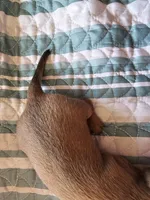 processed/b682cfad-f86d-4b1a-b31a-090344a14f03/listing/8978e1bc-18c2-45d8-bd2f-7312dc287266/17d22941-0833-42bc-bd86-fa072e078a8e