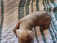 processed/b682cfad-f86d-4b1a-b31a-090344a14f03/listing/8978e1bc-18c2-45d8-bd2f-7312dc287266/6166db7f-6817-4e51-baa3-1e18cd8e0077