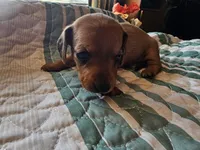 processed/b682cfad-f86d-4b1a-b31a-090344a14f03/listing/8978e1bc-18c2-45d8-bd2f-7312dc287266/6baf6e38-e40c-456f-b811-4a070da40bcc