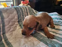 processed/b682cfad-f86d-4b1a-b31a-090344a14f03/listing/8978e1bc-18c2-45d8-bd2f-7312dc287266/9fff7b5c-4f94-4293-9646-ddf370c42c92