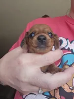 processed/b682cfad-f86d-4b1a-b31a-090344a14f03/listing/8978e1bc-18c2-45d8-bd2f-7312dc287266/a46eed9d-5f77-4a90-bc36-c910b0d26442