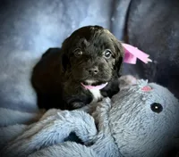 processed/b6885031-1421-4c47-90e7-a08ea101135c/facility/a667a483-d33b-4abc-9c75-eaf5794fa0e6