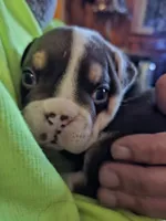 processed/b68e1358-1ba7-478f-91b8-71b4e81c5745/listing/155e4920-7ce7-4b55-8137-56954a283cf2/1e104275-bf2b-40ba-a159-80a64b584c66