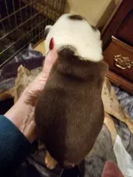 processed/b68e1358-1ba7-478f-91b8-71b4e81c5745/listing/155e4920-7ce7-4b55-8137-56954a283cf2/2264a48b-3b66-4dfd-8ca4-c24d2eb8641f