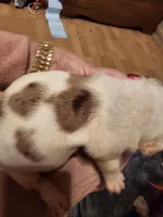 processed/b68e1358-1ba7-478f-91b8-71b4e81c5745/listing/be218ced-79d5-4c35-a611-bcdb36011ef1/26b80a6c-4f35-42f7-85e4-93ab18e928e8