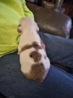 processed/b68e1358-1ba7-478f-91b8-71b4e81c5745/listing/be218ced-79d5-4c35-a611-bcdb36011ef1/50c4563a-fcc2-4892-91c3-51f01e88522a