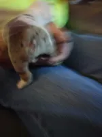 processed/b68e1358-1ba7-478f-91b8-71b4e81c5745/listing/be218ced-79d5-4c35-a611-bcdb36011ef1/ce33bc24-22ad-4277-99aa-44f20c094eb8