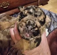 processed/b68e1358-1ba7-478f-91b8-71b4e81c5745/listing/bf39bff7-2981-401e-8c4e-3d2cef5b18fc/388ae128-26fa-4129-b18f-184de7b62b0f