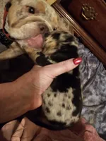 processed/b68e1358-1ba7-478f-91b8-71b4e81c5745/listing/bf39bff7-2981-401e-8c4e-3d2cef5b18fc/4f3cb974-9184-41df-8880-5e99d12be79e