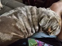 processed/b68e1358-1ba7-478f-91b8-71b4e81c5745/listing/bf39bff7-2981-401e-8c4e-3d2cef5b18fc/8e37f032-636e-42b8-8b52-98f9f3d76862