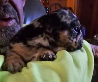 processed/b68e1358-1ba7-478f-91b8-71b4e81c5745/listing/bf39bff7-2981-401e-8c4e-3d2cef5b18fc/b3d9b923-d921-43d1-bbcd-2b777d91b8b6