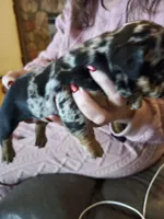 processed/b68e1358-1ba7-478f-91b8-71b4e81c5745/listing/bf39bff7-2981-401e-8c4e-3d2cef5b18fc/e4d623a3-1092-43c4-b3bf-2b85fbf04a8f