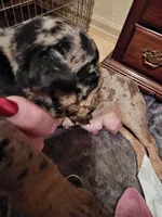 processed/b68e1358-1ba7-478f-91b8-71b4e81c5745/listing/bf39bff7-2981-401e-8c4e-3d2cef5b18fc/e5599fef-4b83-4495-a7e6-c0b46b275ea9