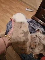 processed/b68e1358-1ba7-478f-91b8-71b4e81c5745/listing/d47aa883-47b8-4053-97e5-1b9328109cd4/625d8ca8-0b27-492d-a450-d538eb010752