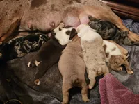 processed/b68e1358-1ba7-478f-91b8-71b4e81c5745/listing/d47aa883-47b8-4053-97e5-1b9328109cd4/679ccc93-7df4-49b6-bfab-71e5ca1e54c2