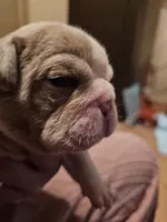 processed/b68e1358-1ba7-478f-91b8-71b4e81c5745/listing/d47aa883-47b8-4053-97e5-1b9328109cd4/90e42d34-8238-4e61-9467-a39e7dd4bb01