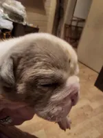 processed/b68e1358-1ba7-478f-91b8-71b4e81c5745/listing/d47aa883-47b8-4053-97e5-1b9328109cd4/9d07e765-592e-452b-a31e-4e26bc52613d