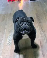 processed/b68e1358-1ba7-478f-91b8-71b4e81c5745/listing/d47aa883-47b8-4053-97e5-1b9328109cd4/b3c5a80a-fc66-4739-96d0-d4bb58741f24