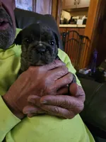 processed/b68e1358-1ba7-478f-91b8-71b4e81c5745/listing/e40fc7ef-aed8-4dcd-bba9-dd53e6b92584/64d9eea0-cdb0-45cc-90e8-1906a7172133