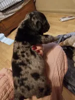 processed/b68e1358-1ba7-478f-91b8-71b4e81c5745/listing/e40fc7ef-aed8-4dcd-bba9-dd53e6b92584/b1f317da-4495-44b6-b7d3-cd0d72101f49