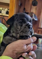 processed/b68e1358-1ba7-478f-91b8-71b4e81c5745/listing/e40fc7ef-aed8-4dcd-bba9-dd53e6b92584/b2ae4e38-811c-41cd-9e94-aced365bf5be