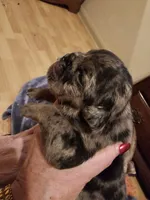 processed/b68e1358-1ba7-478f-91b8-71b4e81c5745/listing/e40fc7ef-aed8-4dcd-bba9-dd53e6b92584/e9421037-de0c-4e9b-acdd-aa74cbf586ca