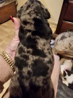 processed/b68e1358-1ba7-478f-91b8-71b4e81c5745/listing/e40fc7ef-aed8-4dcd-bba9-dd53e6b92584/f730e908-dac4-4246-9adf-16251ae98be2