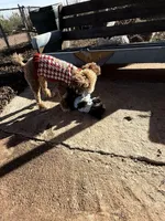 processed/b692e724-c0fe-40fa-bc52-e4ba997ad6a9/facility/474a04a8-23f3-4602-8f7a-4b4dc259f172