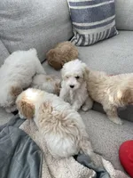 processed/b692e724-c0fe-40fa-bc52-e4ba997ad6a9/facility/7594386d-bc9d-43d5-b09a-a969374e6bc2