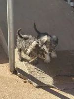 processed/b692e724-c0fe-40fa-bc52-e4ba997ad6a9/facility/8ee9fce8-8975-486a-a09d-d265fec4e9d4